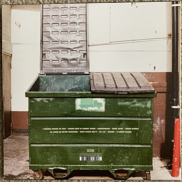 The Lemon Twigs - Do Hollywood (VINYL) | Mint (M) Mint (M)