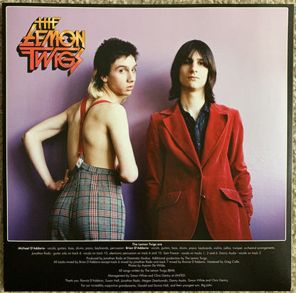 The Lemon Twigs - Do Hollywood (VINYL) | Mint (M) Mint (M)