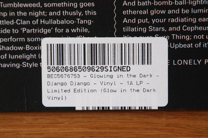 Glowing In The Dark (GLOW IN TH DARK VINYL) |