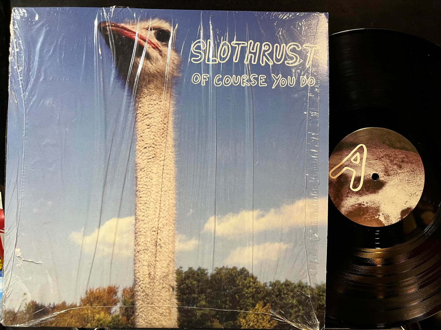 Slothrust - Of Course You Do (VINYL) | Excellent+ (EX+) Near Mint (NM)