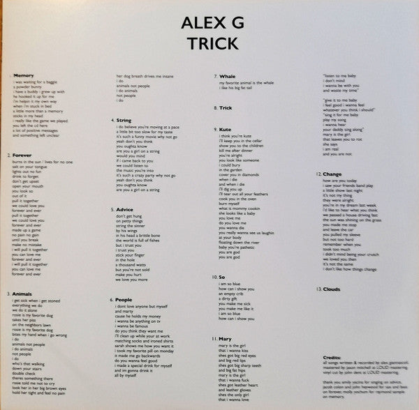 Alex G (2) - Trick (VINYL+7") | Excellent+ (EX+) Near Mint (NM)