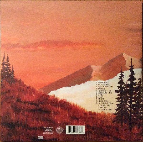 Weezer - Everything Will Be Alright In The End (VINYL) | Near Mint- (NM-) Near Mint- (NM-)
