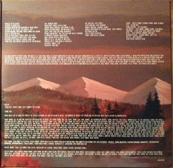 Weezer - Everything Will Be Alright In The End (VINYL) | Near Mint- (NM-) Near Mint- (NM-)