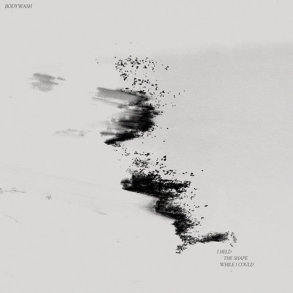 I Held The Shape While I Could (VINYL) | Near Mint (NM) Near Mint (NM)
