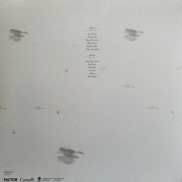 I Held The Shape While I Could (VINYL) | Near Mint (NM) Near Mint (NM)