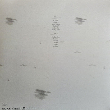 I Held The Shape While I Could (VINYL) | Near Mint (NM) Near Mint (NM)