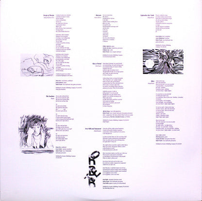 Robert Wyatt - Shleep (2xVINYL+CD | Near Mint (NM) Near Mint (NM)