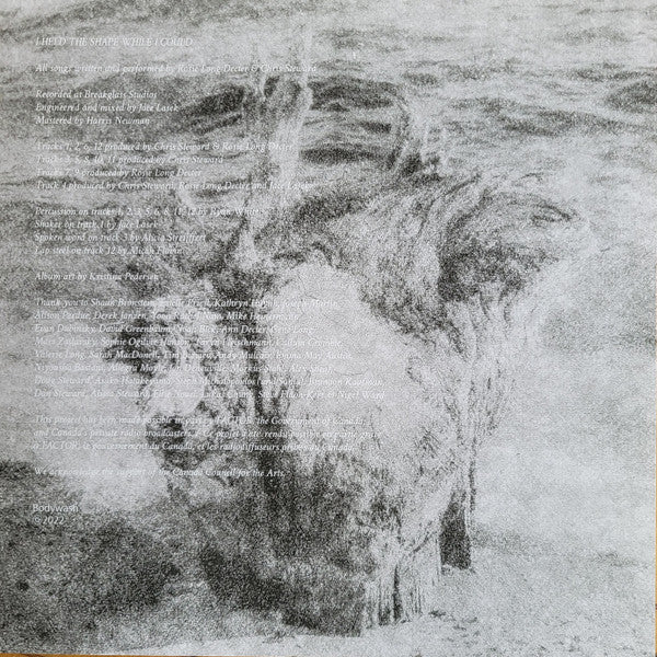 I Held The Shape While I Could (VINYL) | Near Mint (NM) Near Mint (NM)