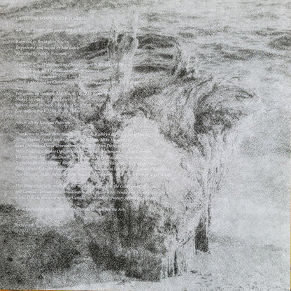 I Held The Shape While I Could (VINYL) | Near Mint (NM) Near Mint (NM)