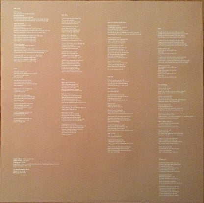 Soccer Mommy - Clean (VINYL) | Near Mint (NM) Very Good Plus Plus (VG++)