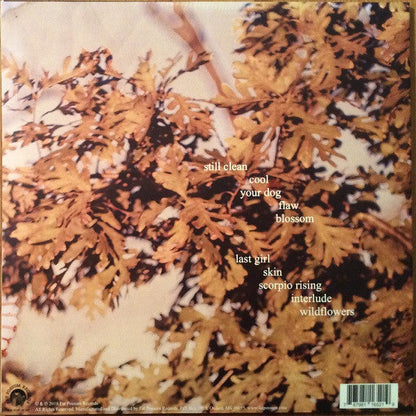 Soccer Mommy - Clean (VINYL) | Near Mint (NM) Very Good Plus Plus (VG++)