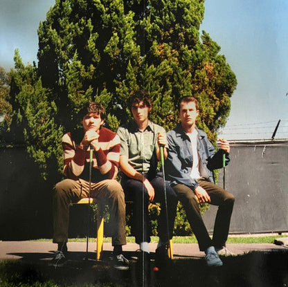 Wallows - Nothing Happens (VINYL) | Near Mint (NM) Near Mint (NM)