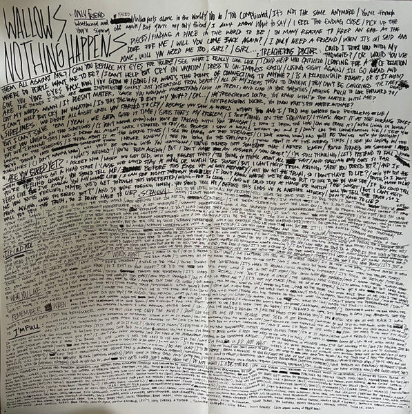 Wallows - Nothing Happens (VINYL) | Near Mint (NM) Near Mint (NM)