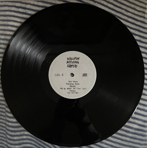 Wallows - Nothing Happens (VINYL) | Near Mint (NM) Near Mint (NM)