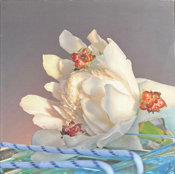 Patience Hell EP (VINYL) | Near Mint (NM) Near Mint (NM)