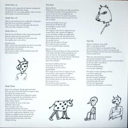 Robert Wyatt - Ruth Is Stranger Than Richard (VINYL+CD) | Near Mint (NM) Near Mint (NM)