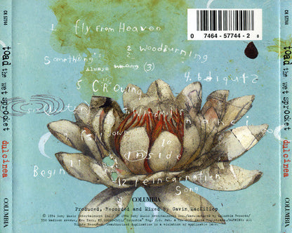 Toad The Wet Sprocket - Dulcinea (CD) | Near Mint (NM) Near Mint (NM)