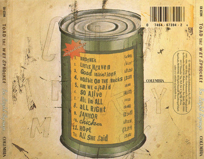 Toad The Wet Sprocket - In Light Syrup (CD) | Near Mint (NM or M-)