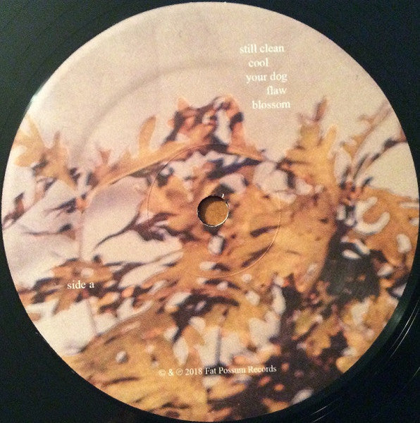 Soccer Mommy - Clean (VINYL) | Near Mint (NM) Very Good Plus Plus (VG++)