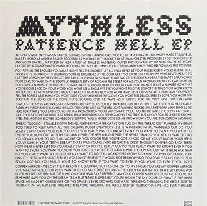 Patience Hell EP (VINYL) | Near Mint (NM) Near Mint (NM)