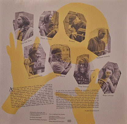 Live At Big Ears (VINYL) | Near Mint (NM) Near Mint (NM)