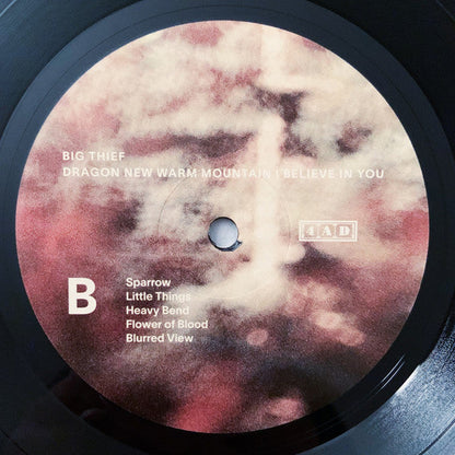 Dragon New Warm Mountain I Believe In You | Mint (M) Mint (M)