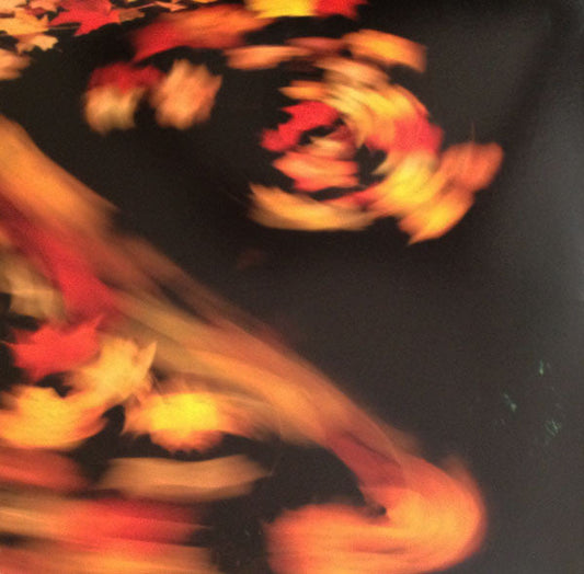 Merriweather Post Pavilion | Mint (M) Mint (M)