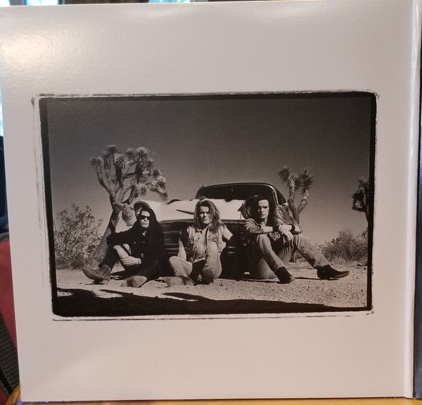 Sonic Temple | Mint (M) Mint (M)