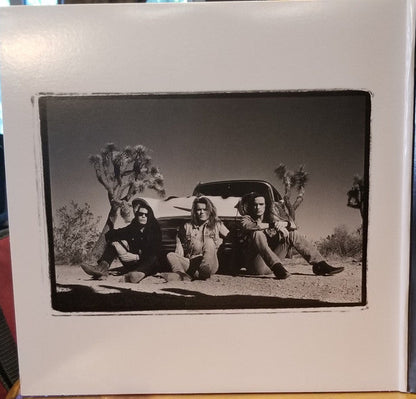 Sonic Temple | Mint (M) Mint (M)