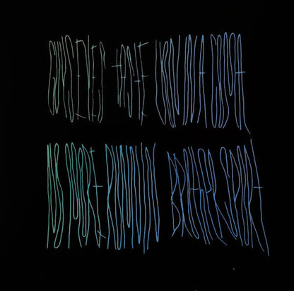 Merriweather Post Pavilion | Mint (M) Mint (M)