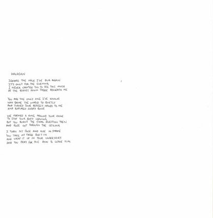 Ants From Up There | Mint (M) Mint (M)