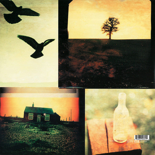 The Life Of The World To Come | Mint (M) Mint (M)