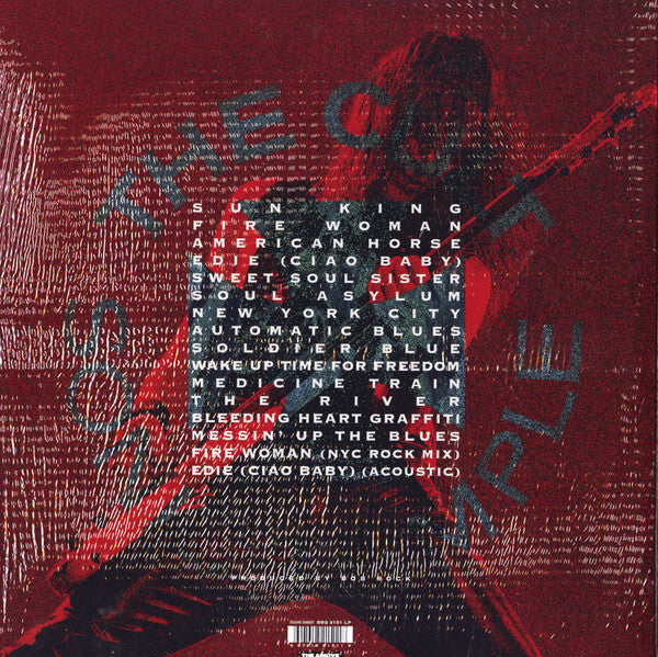 Sonic Temple | Mint (M) Mint (M)