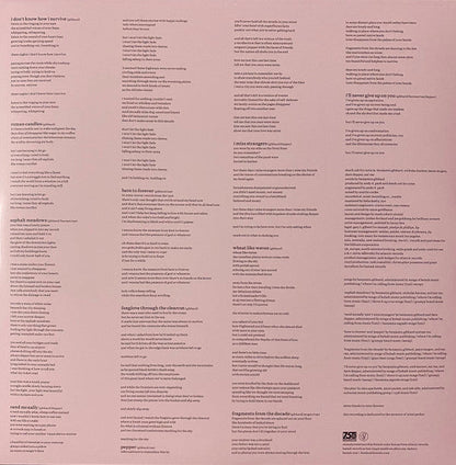 Asphalt Meadows (Acoustic) | Mint (M) Mint (M)