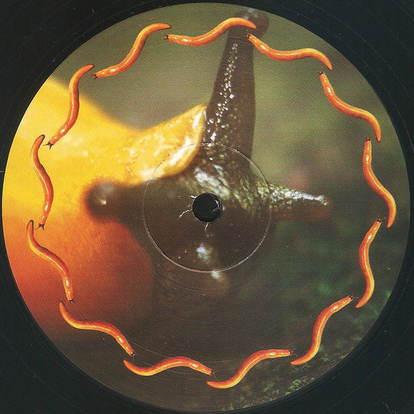 Thirteenth Step | Mint (M) Mint (M)