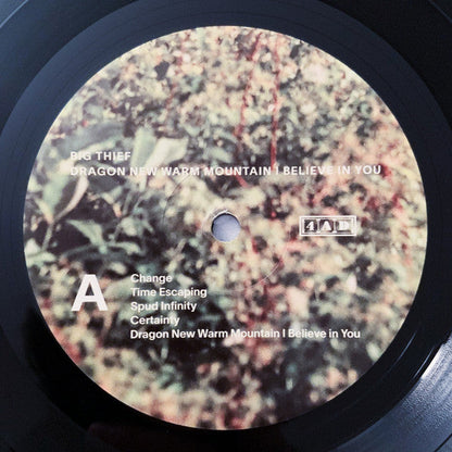 Dragon New Warm Mountain I Believe In You | Mint (M) Mint (M)