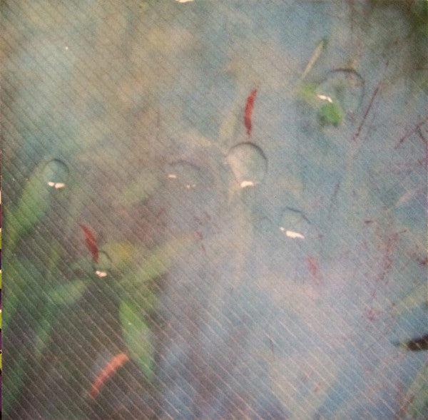 Merriweather Post Pavilion | Mint (M) Mint (M)