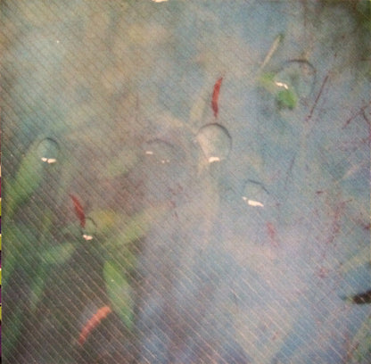 Merriweather Post Pavilion | Mint (M) Mint (M)