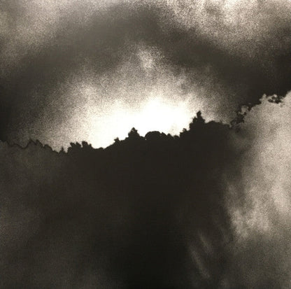 Trouble Will Find Me | Mint (M) Mint (M)