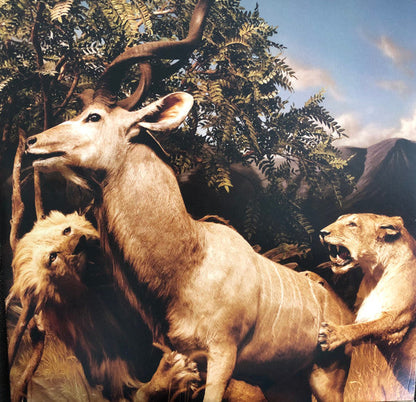 Our Love To Admire | Mint (M) Mint (M)