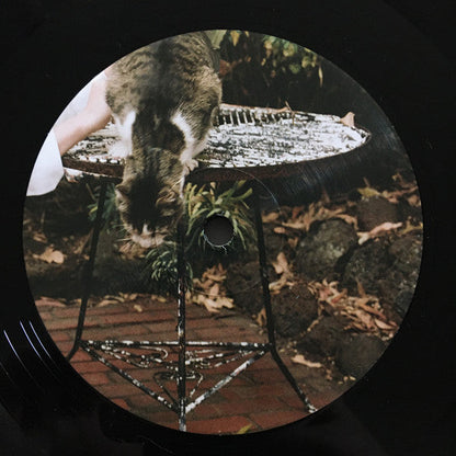 Look Up Sharp | Mint (M) Mint (M)