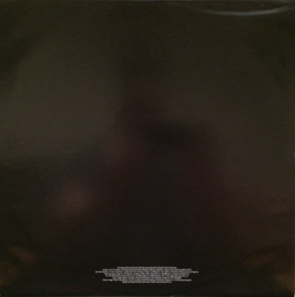 Merriweather Post Pavilion | Mint (M) Mint (M)