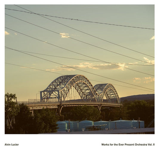 Works for the Ever Present Orchestra Vol. II |