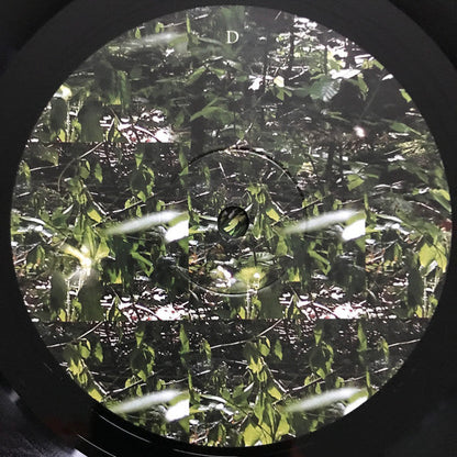 Der Lange Marsch | Mint (M) Mint (M)