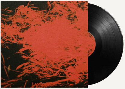 Anthony Naples - In Studio Magic (VINYL) | Mint (M) Mint (M)