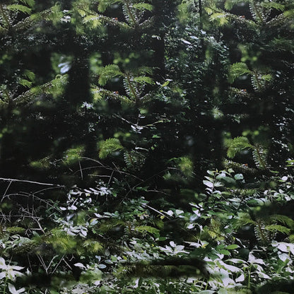 Der Lange Marsch | Mint (M) Mint (M)