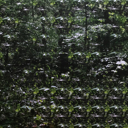 Der Lange Marsch | Mint (M) Mint (M)