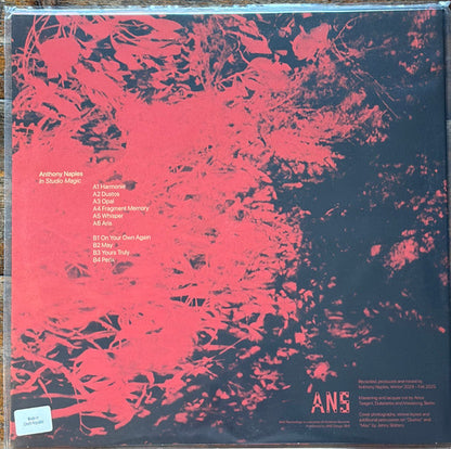 Anthony Naples - In Studio Magic (VINYL) | Mint (M) Mint (M)