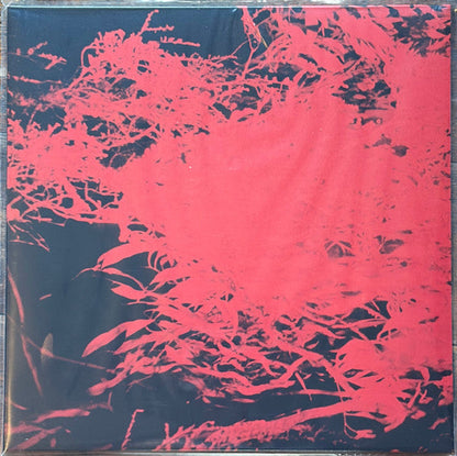 Anthony Naples - In Studio Magic (VINYL) | Mint (M) Mint (M)