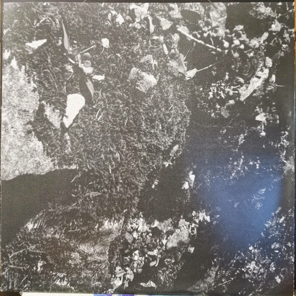 1979 (VINYL) |